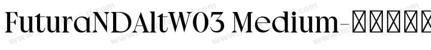 FuturaNDAltW03 Medium字体转换